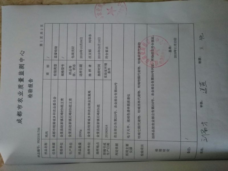 鸡苗土鸡苗脱温苗提供检疫合格证明省市县检验合格可视频看货
