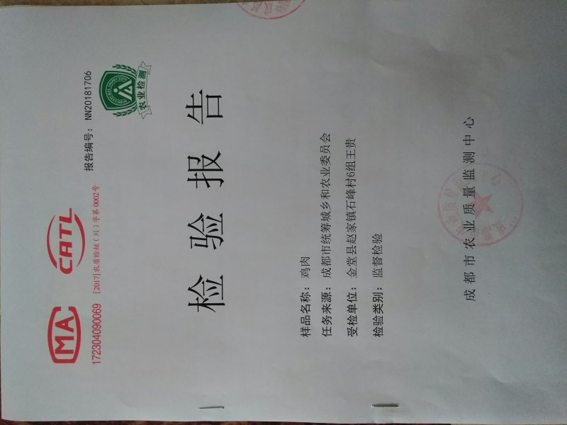 鸡苗土鸡苗脱温苗提供检疫合格证明省市县检验合格可视频看货