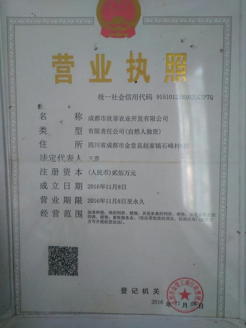 鸡苗土鸡苗脱温苗提供检疫合格证明省市县检验合格可视频看货