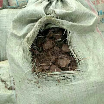 优质稻壳供应
