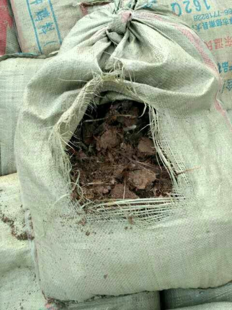 优质稻壳供应