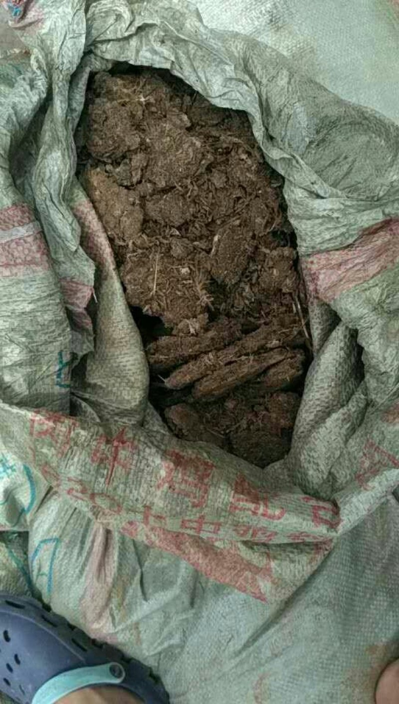 优质稻壳供应