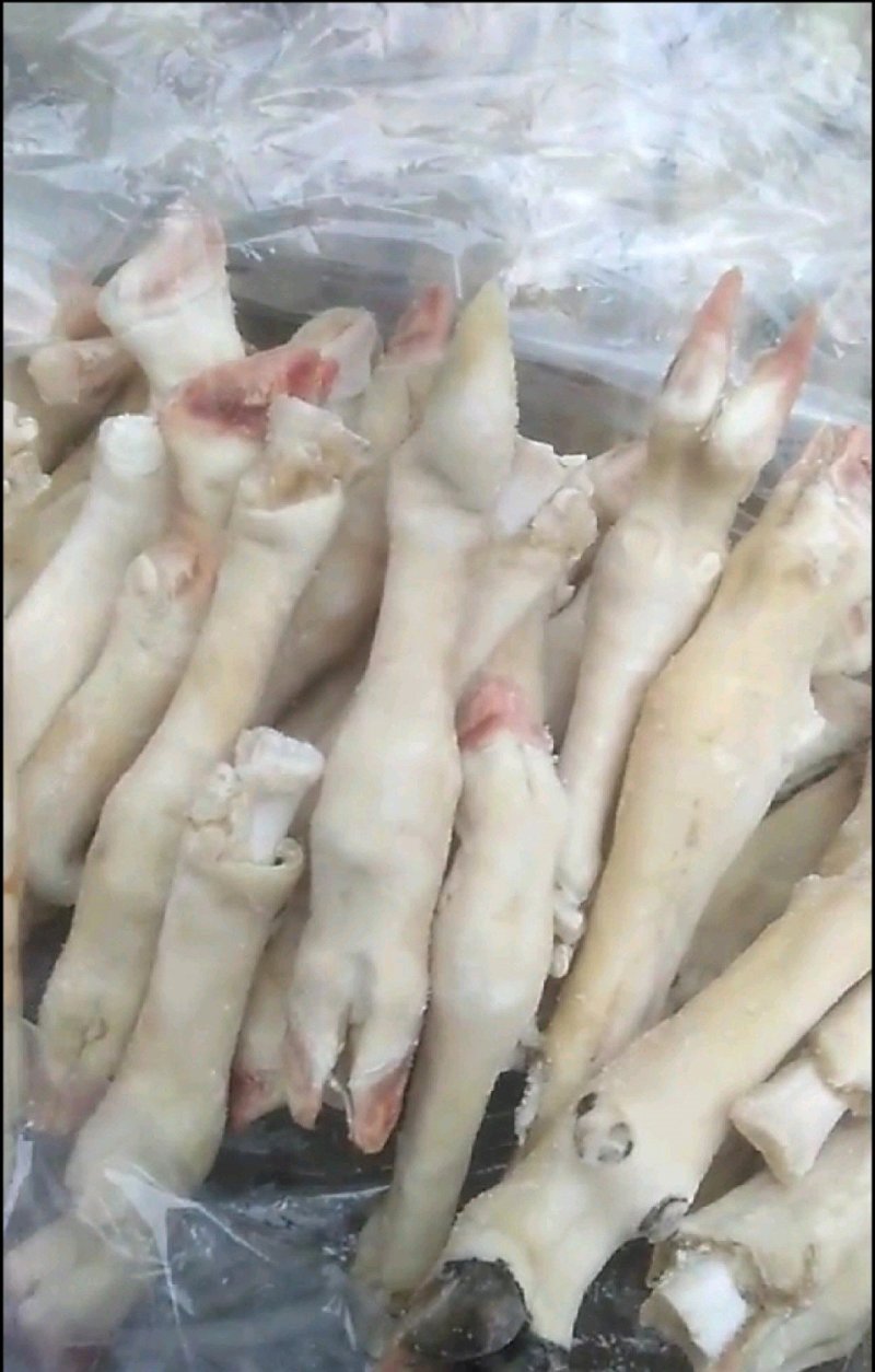羊蹄
