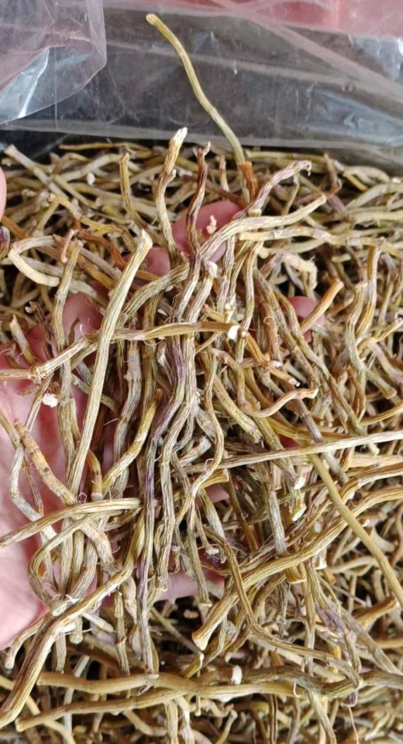 石斛，铁皮石斛干条，益胃生津