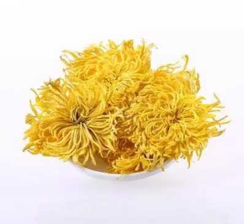 金丝皇菊一件代发全国包邮