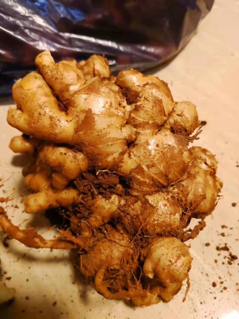 大中小，黄姜