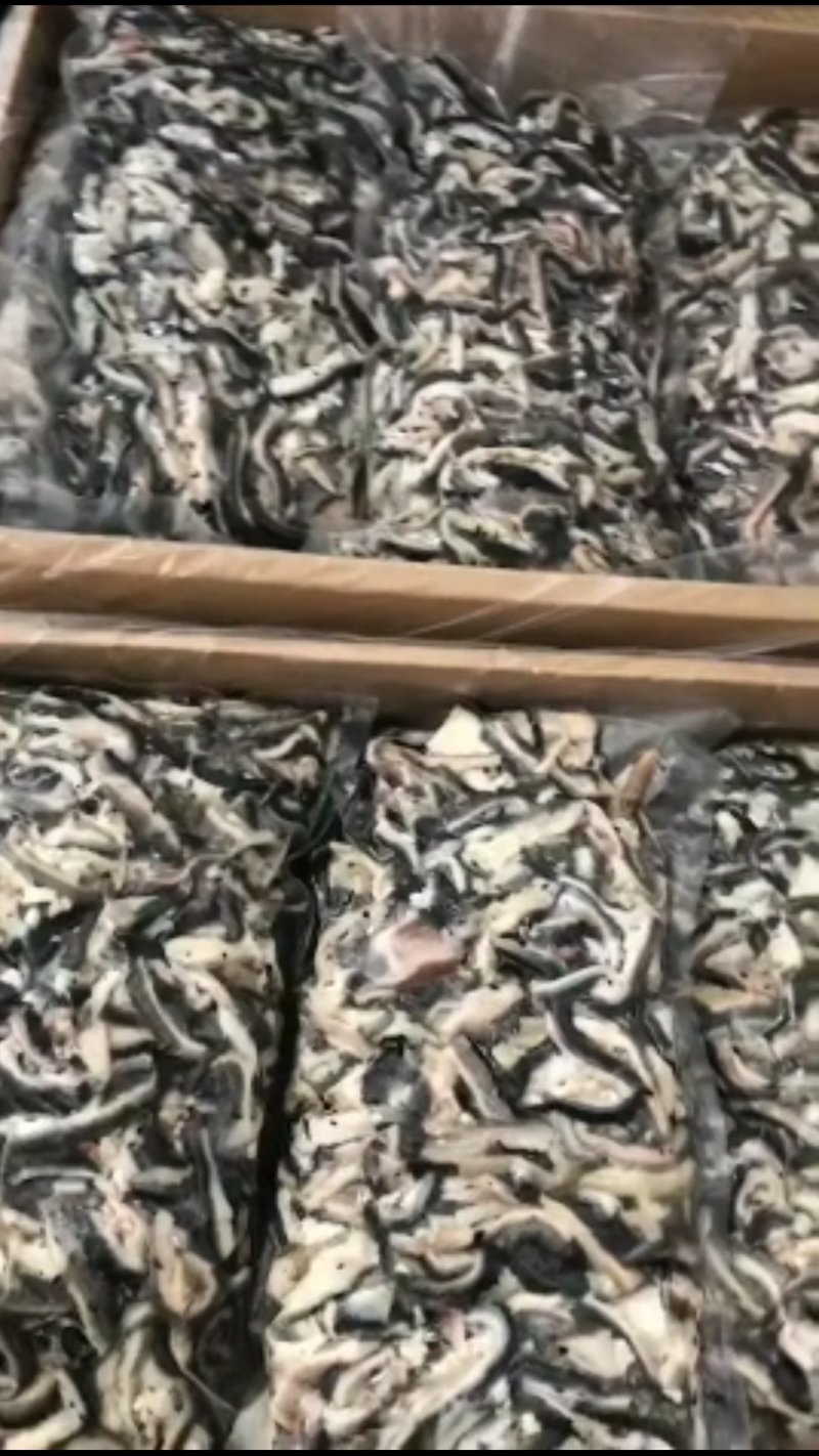 熟黑毛牛肚，熟牛肚，源头工厂直销，手续齐全