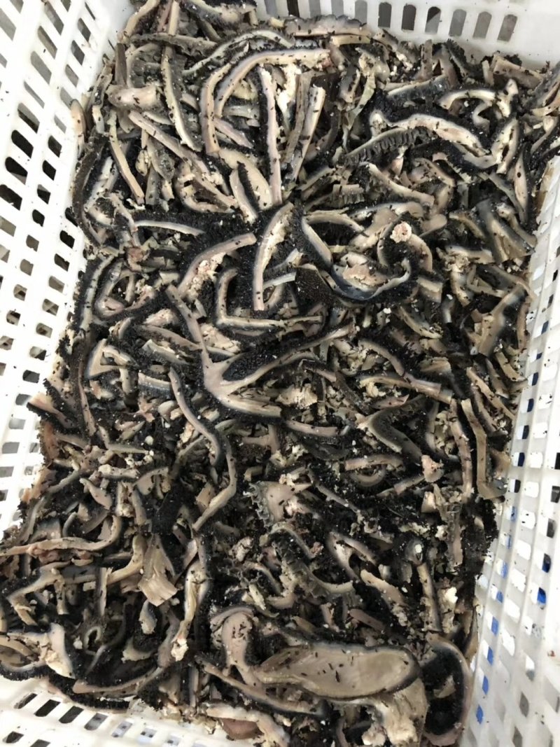 熟黑毛牛肚，熟牛肚，源头工厂直销，手续齐全