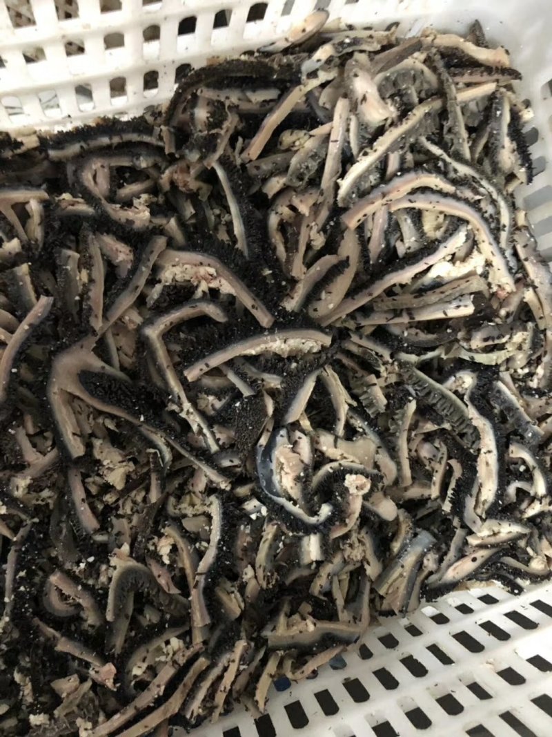 熟黑毛牛肚，熟牛肚，源头工厂直销，手续齐全