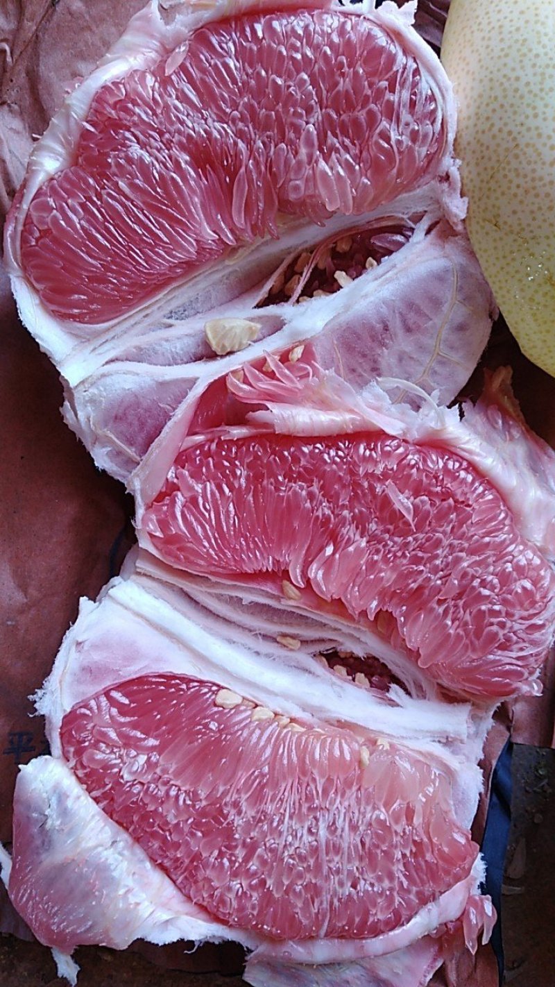 三红柚子苗，三红肉蜜柚苗