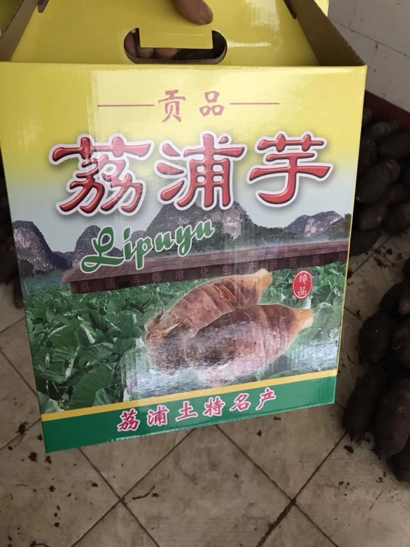 荔浦香芋