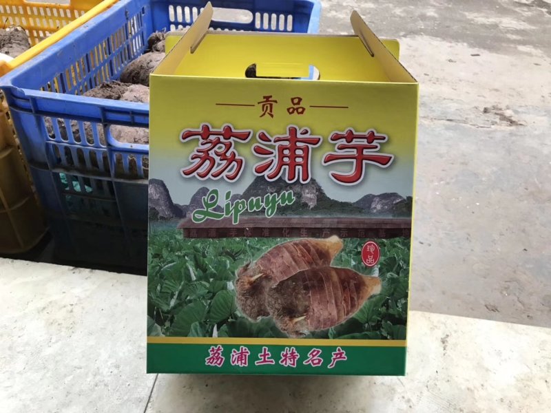 荔浦香芋