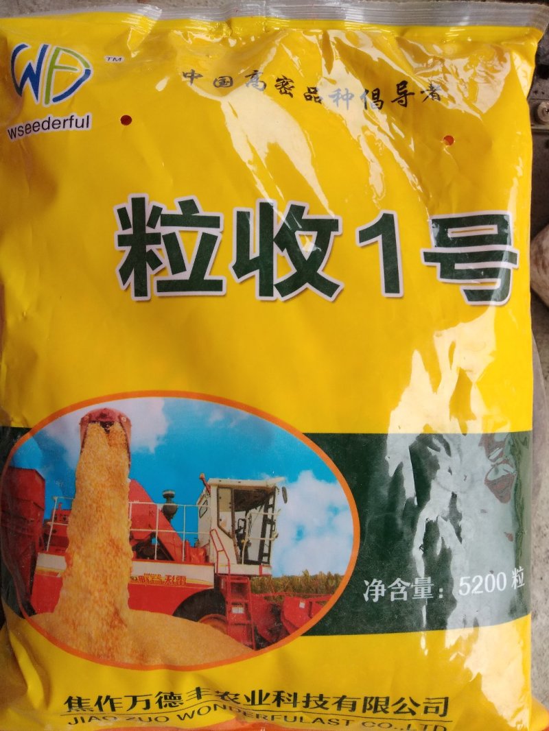 玉米种秋乐368--2017年国审品种