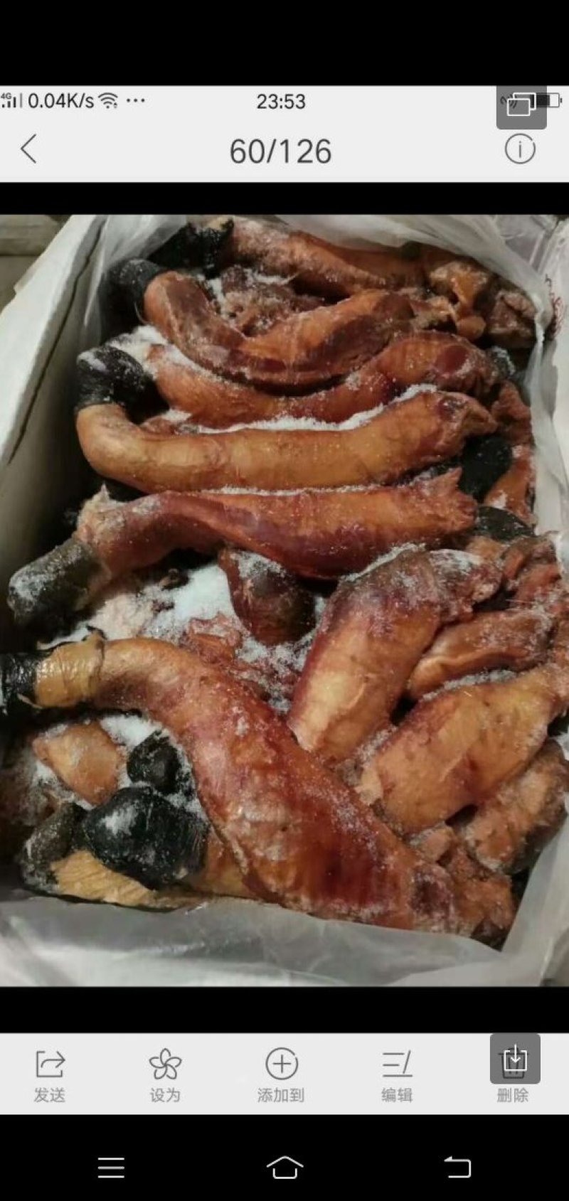 驴鞭光杆的
