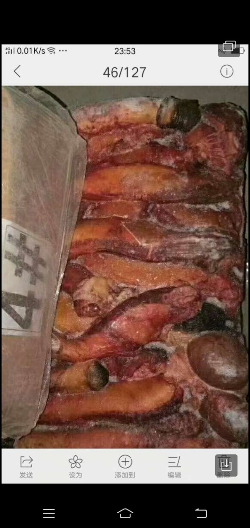 带蛋驴鞭