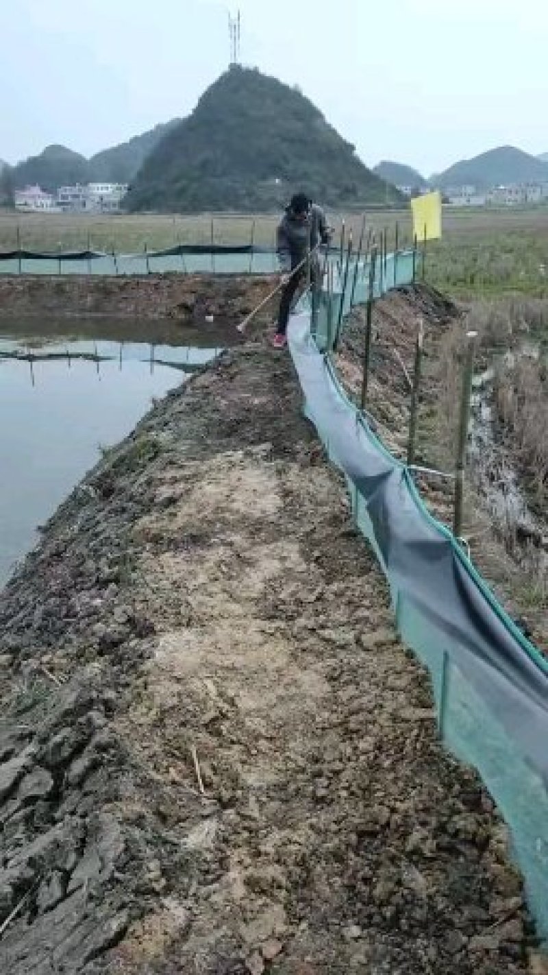 防逃网，龙虾青蛙螃蟹防逃网