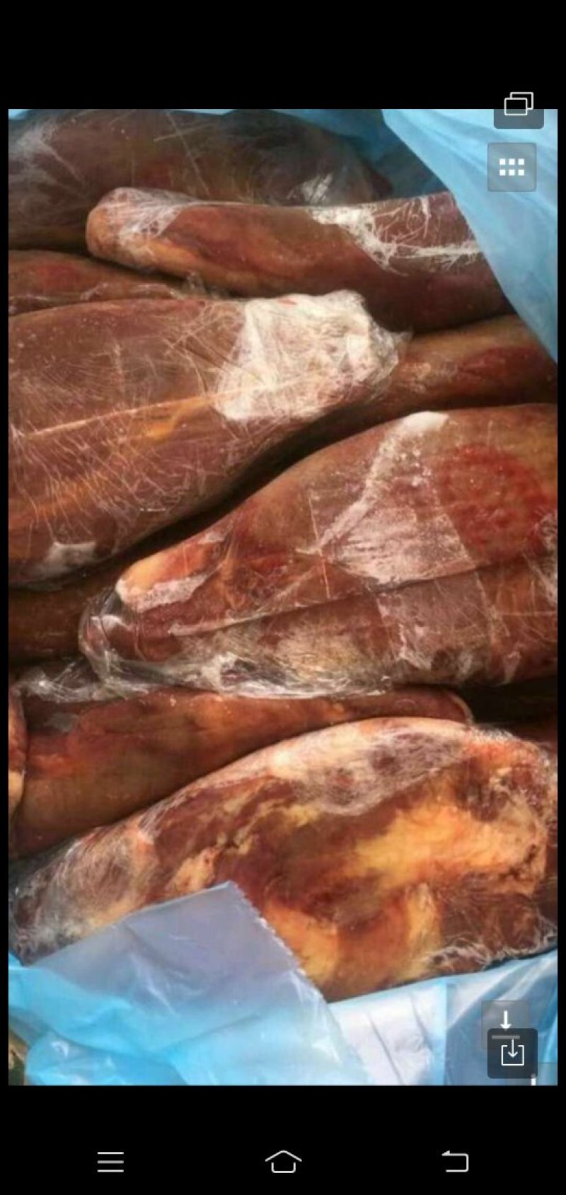 腱孑肉