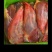 腱孑肉