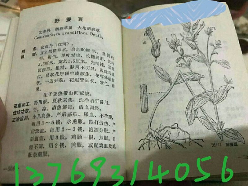 中药材