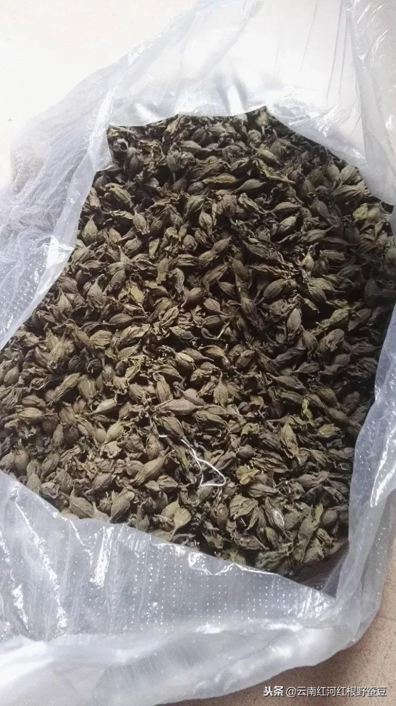 中药材