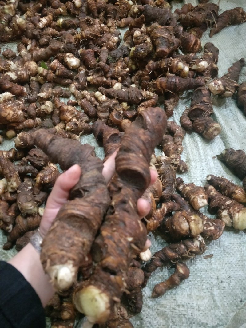七叶一枝花干货、无硫磺