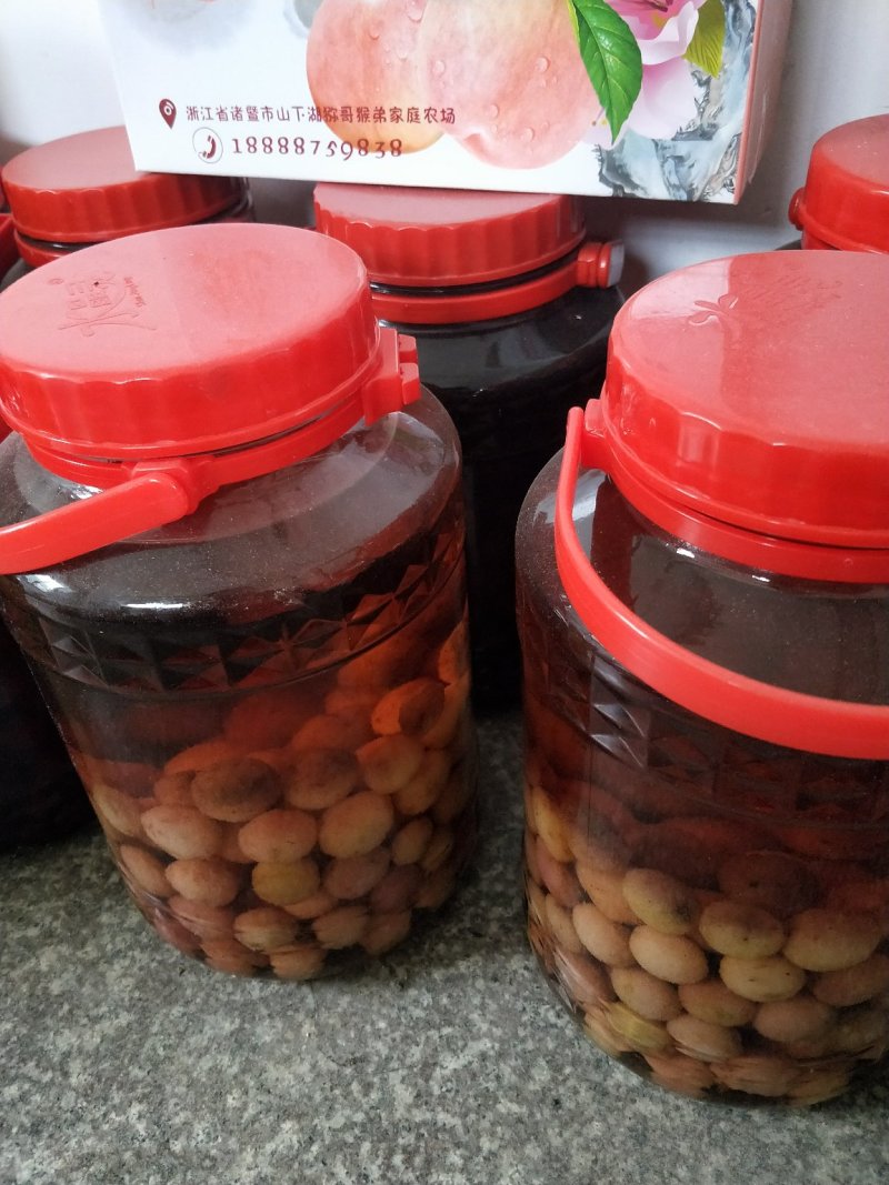 自家烧的小麦烧酒红心猕猴桃酒杨梅酒纯水果烧的酒