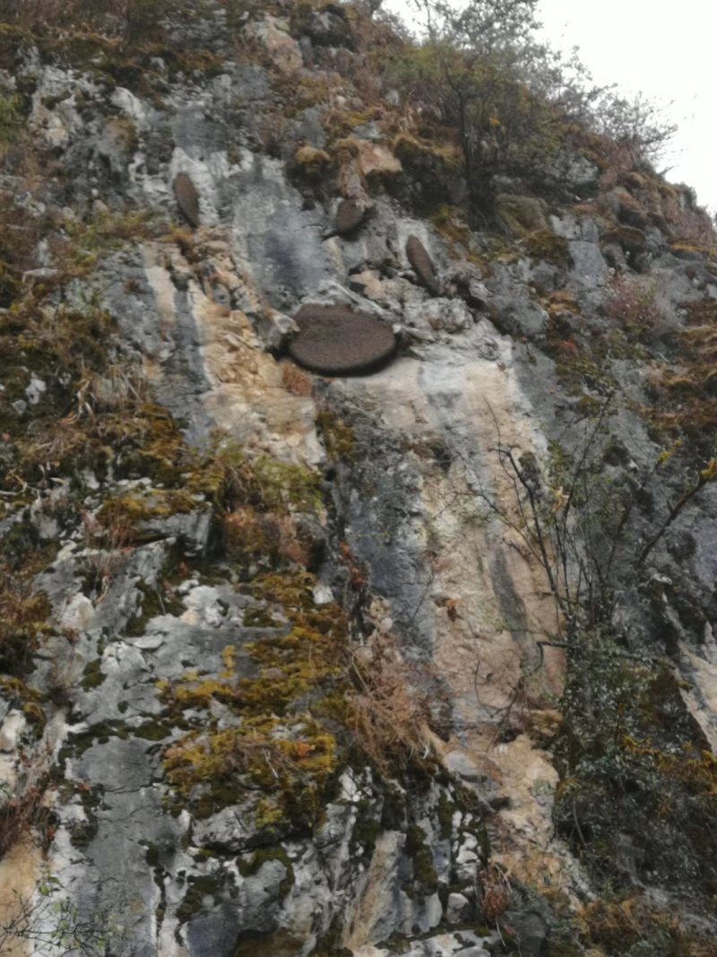 野生岩蜜（中缅边境，海拔1800米以上）