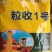 玉米种秋乐368/2017年国审品种