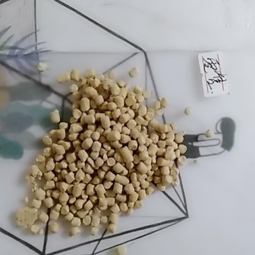 鱼饲料