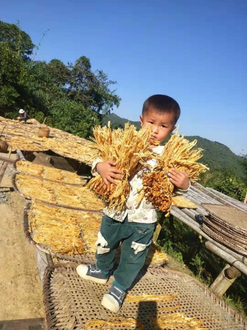 笋干