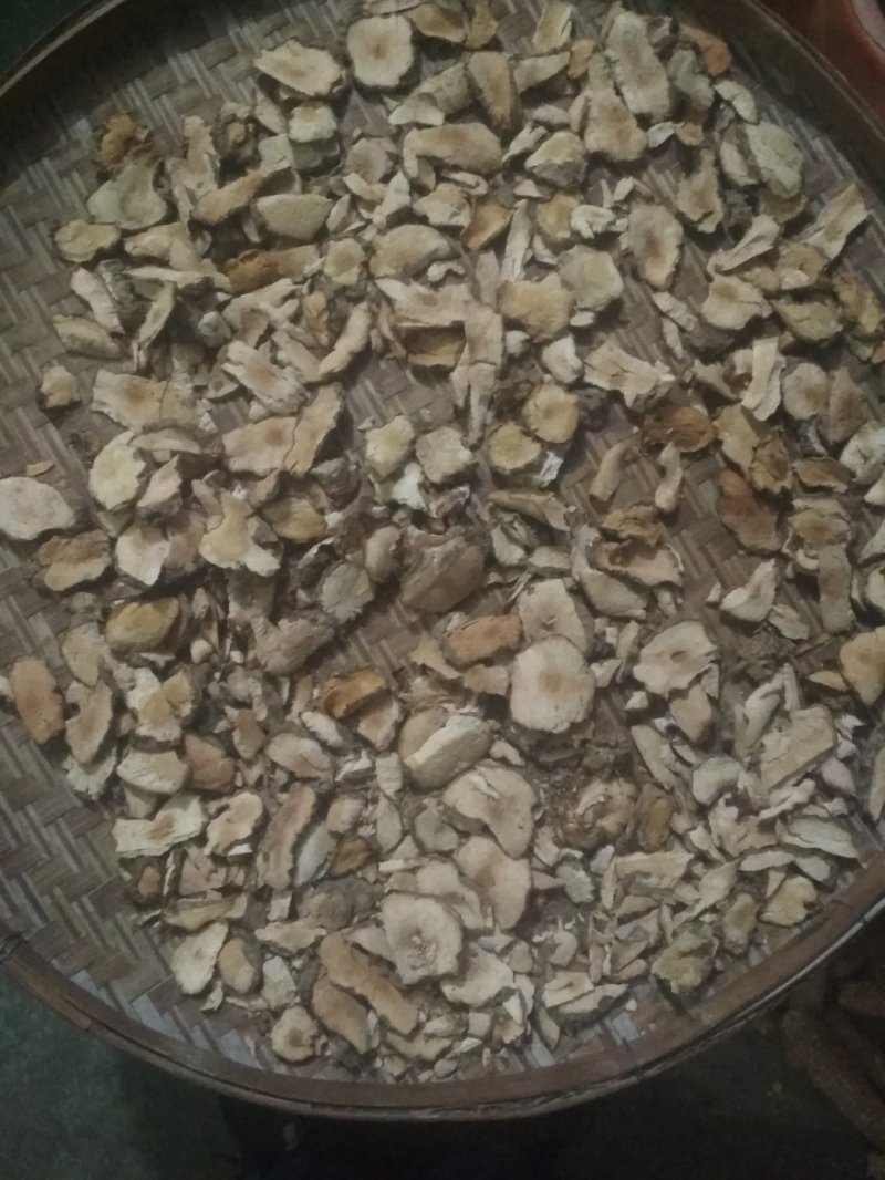 土茯苓