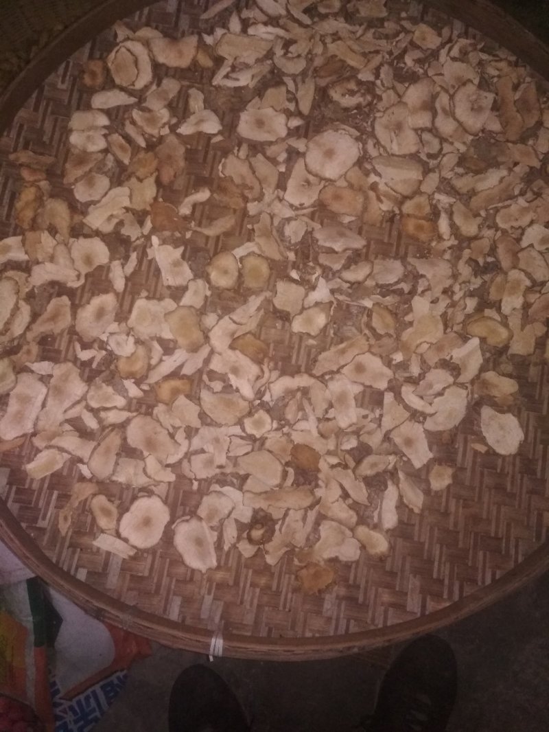 土茯苓