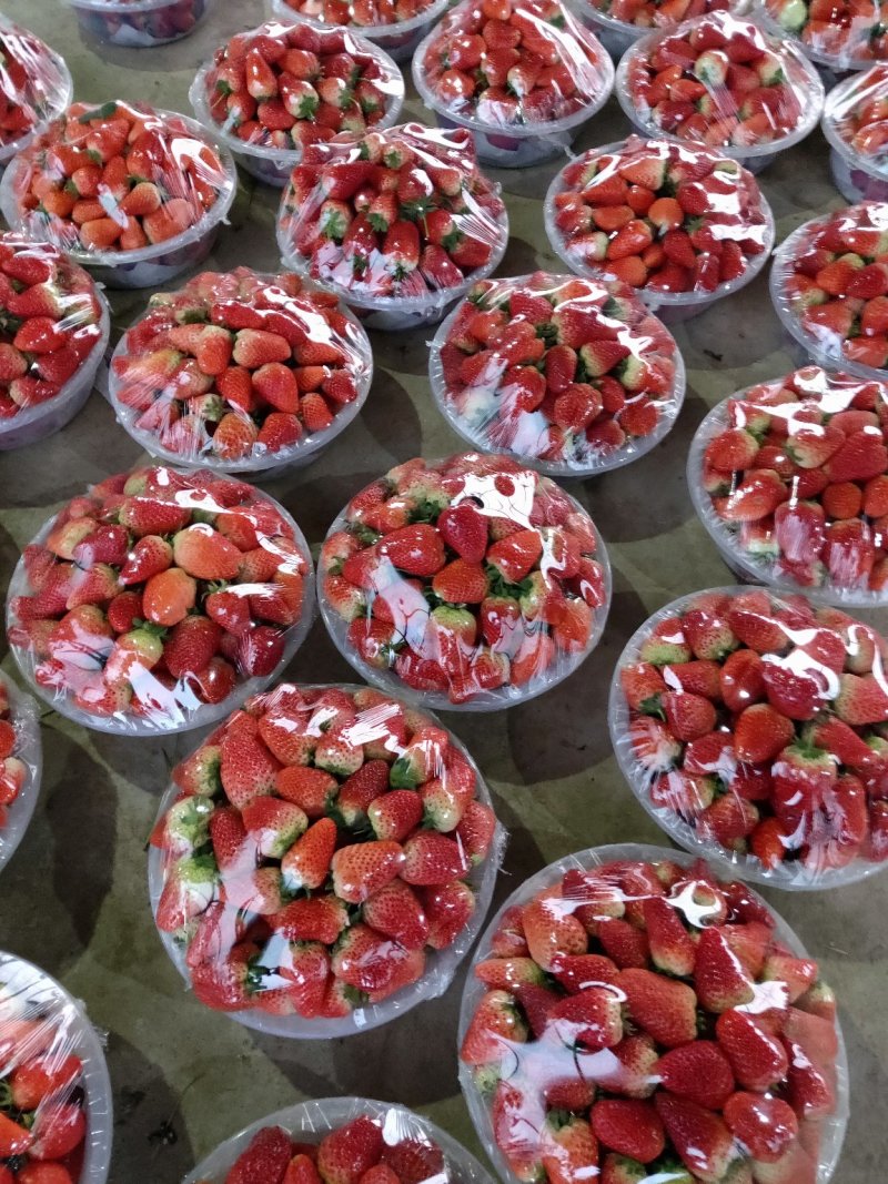 甜查理草莓🍓大量上市中