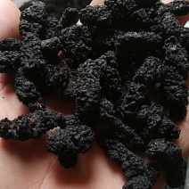 桑椹干，量大