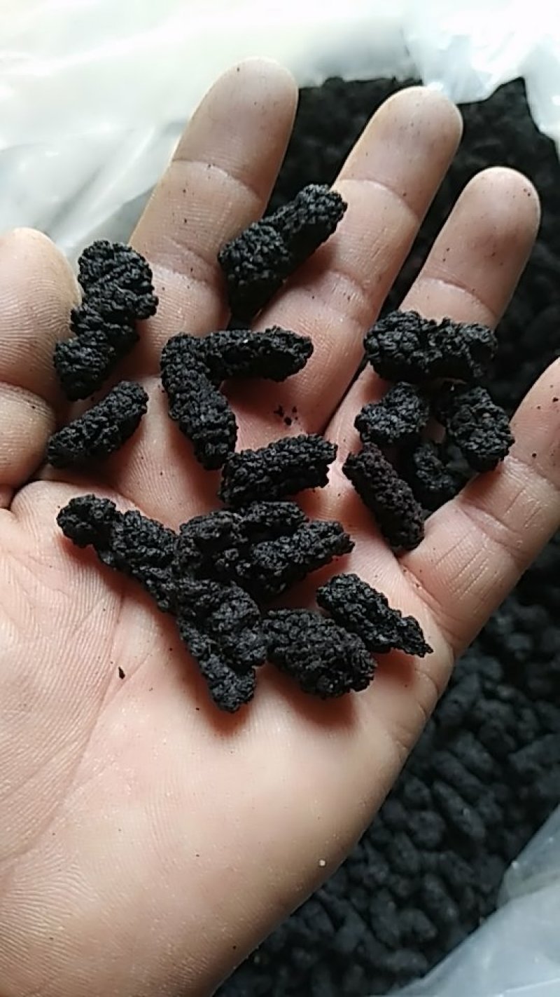 桑椹干，量大