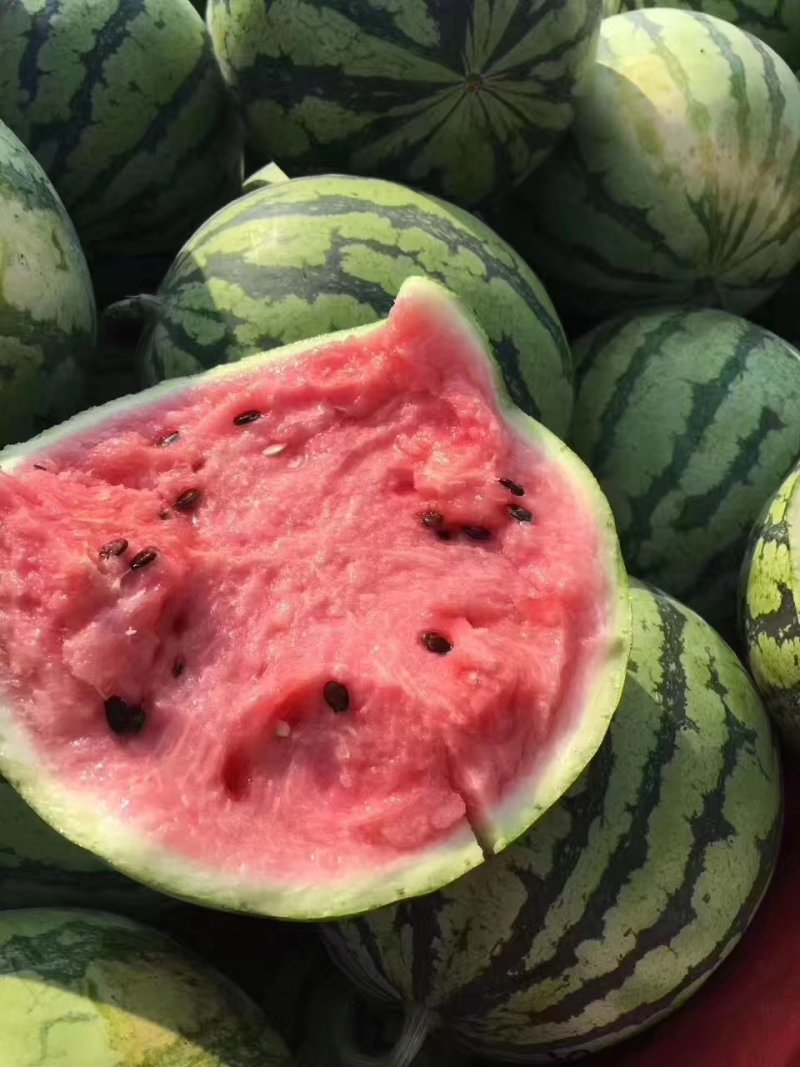 麒麟西瓜