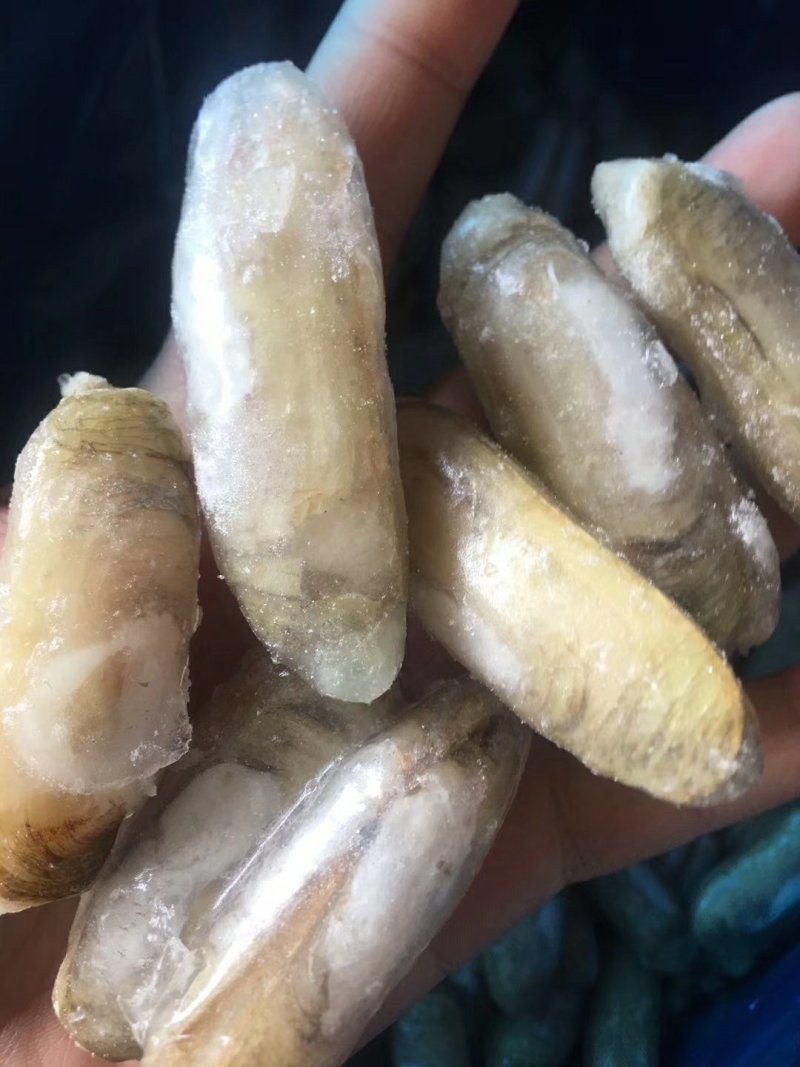 速冻螠蛏，又叫小仁蚬