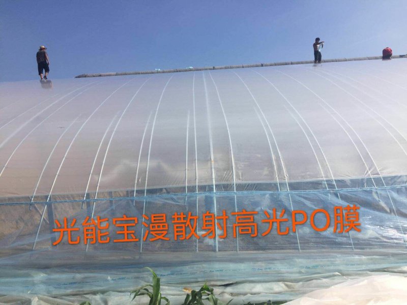 农膜PO膜姜膜转光漫散射膜