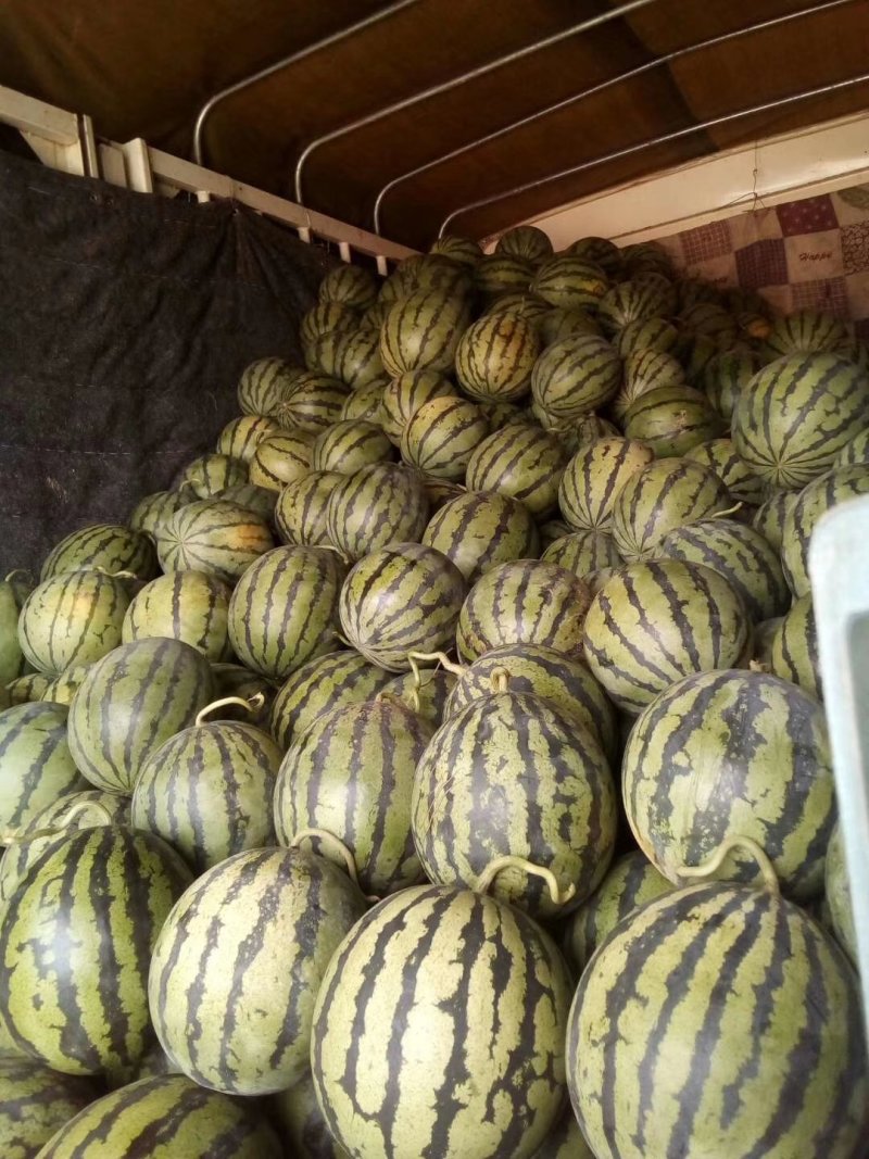 麒麟西瓜，挨个挑选，质量保量，一手货源，