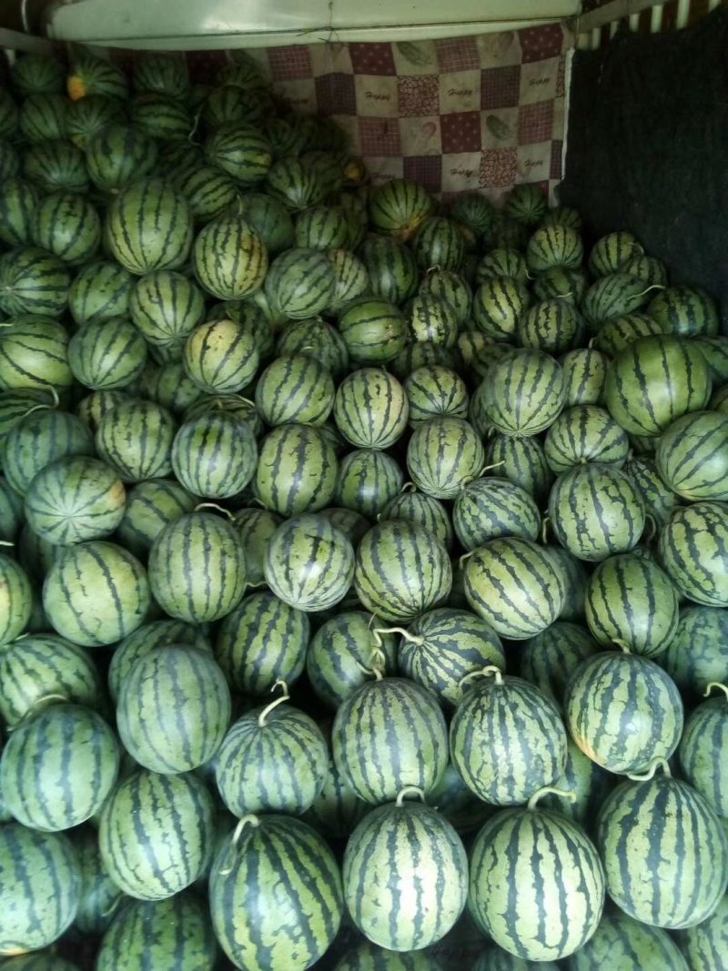 麒麟西瓜，挨个挑选，质量保量，一手货源，
