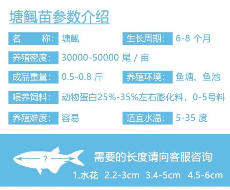 塘鲺鱼苗胡子鲶苗本地三黄塘鲺鱼苗塘角鱼苗