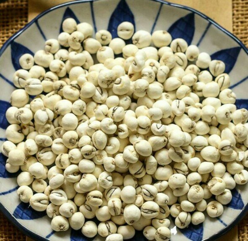 正宗贝母