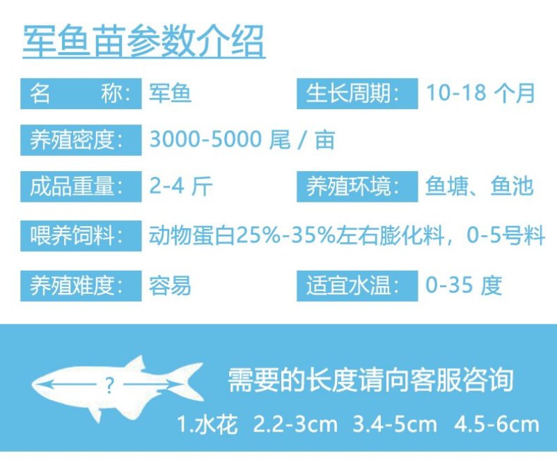 军鱼苗青竹鲩鱼苗坑娟鱼光倒刺粑鱼苗