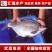 武昌鱼苗鳊鱼苗团头鲂鱼苗三角鳊鱼苗