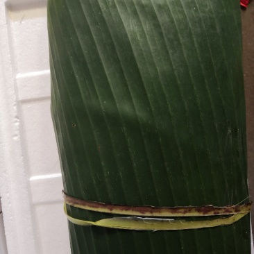 芭蕉叶