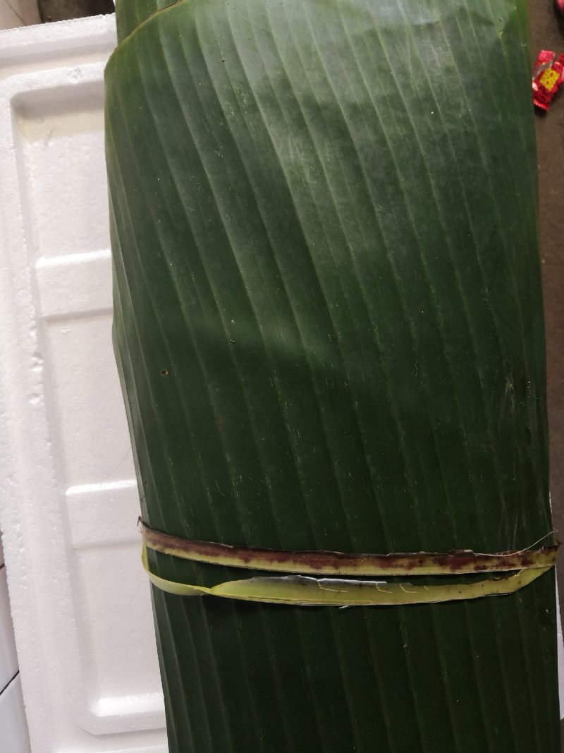 芭蕉叶