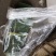 芭蕉叶