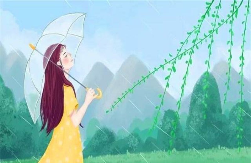 长白山蒲公英叶婆婆丁古古丁东北蒲公英