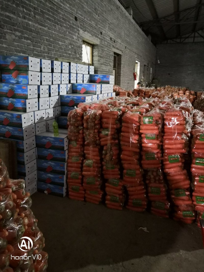 万亩黑土地三红胡萝卜808精品中条北京包～半苗胡萝卜