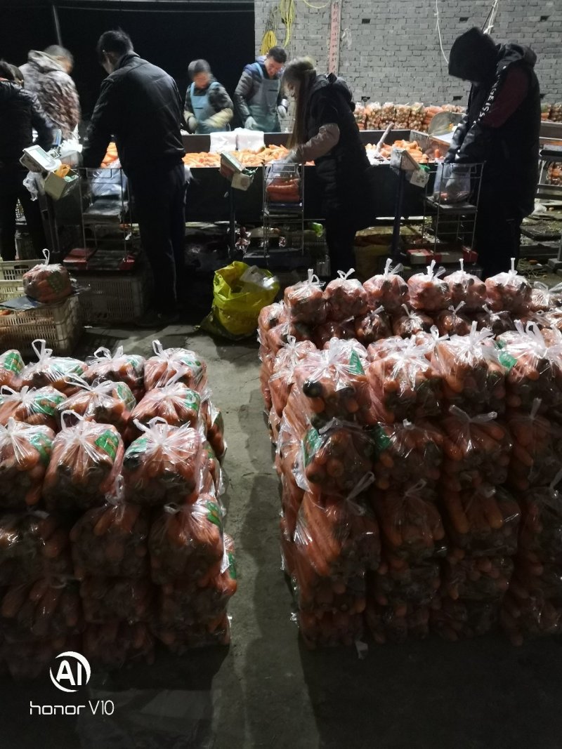 万亩黑土地三红胡萝卜808精品中条北京包～半苗胡萝卜